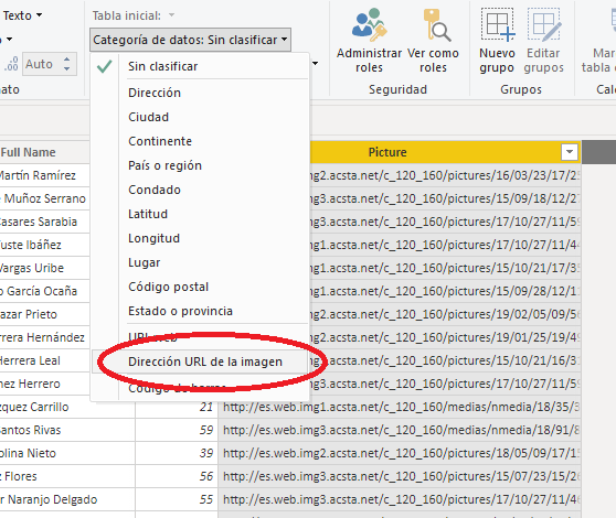 Categoría de "Dirección URL de la imagen"