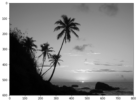 Conversión de una imagen en color a blanco y negro