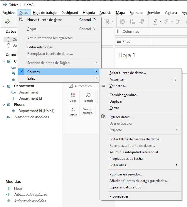 Submenú Datos &gt; Fuente de datos