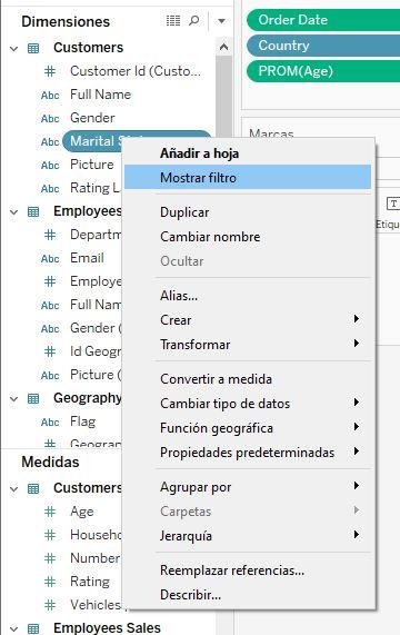 Opción mostrar filtro de un campo en el panel de campos